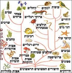 האילן האבולוציוני
